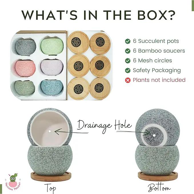 3 inch Ceramic pots for Plants, Small Succulent Pots Set with Drainage, 6 Pack Flower Pot for Indoor Plant, Decorative Planters for Little or Mini Cactus by GreenHaven Gardens