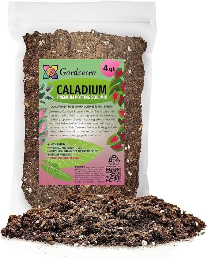 Caladium Potting Mix - Promote Strong Roots and Captivating Patterns with Our Premium Blend - 4 Quart by GreenHaven Gardens