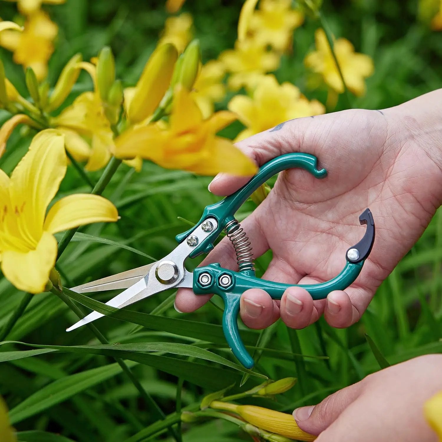 Modern Sprout Pruning Shears - Herb Snipping Scissors- Lightweight Gardening Tools W/Easy Lock - Flower Cutter Garden Shears - Carbon Steel Blade + Reusable Holster (Ocean, 1-Pack) by GreenHaven Gardens