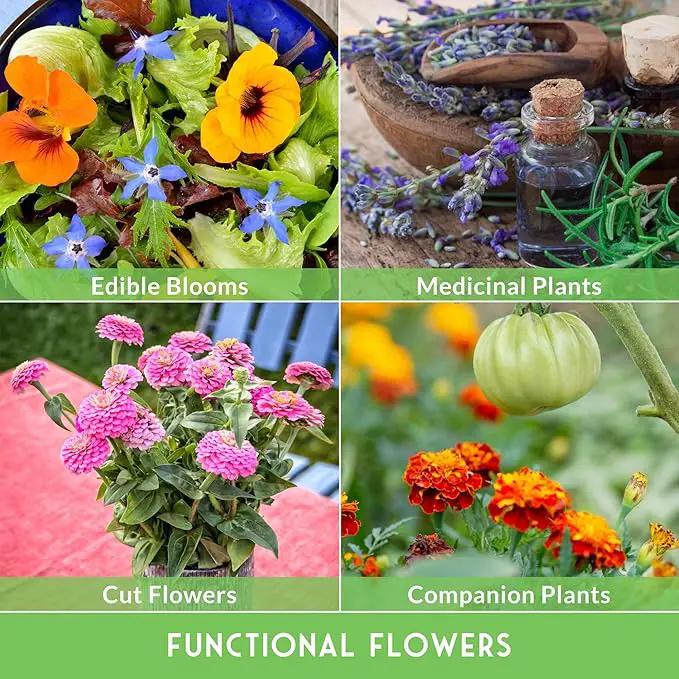Survival Garden Seeds Functional Flower Garden Kit | 36 Pack Seed Starter Collection | Bee, Butterfly, Hummingbird, Pollinator-Friendly Blooms | Non-GMO Heirloom Beneficial Flowers & Wildflowers by GreenHaven Gardens
