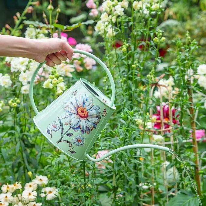 Berry&Bird House Plants Watering Can - Indoor&Outdoor 1/2 Gallon Stainless Steel Water Can with Long Spout Garden Decoration for Flower Bonsai Succulent Gardening Large Water Bottle (Bellis Perennis) by GreenHaven Gardens