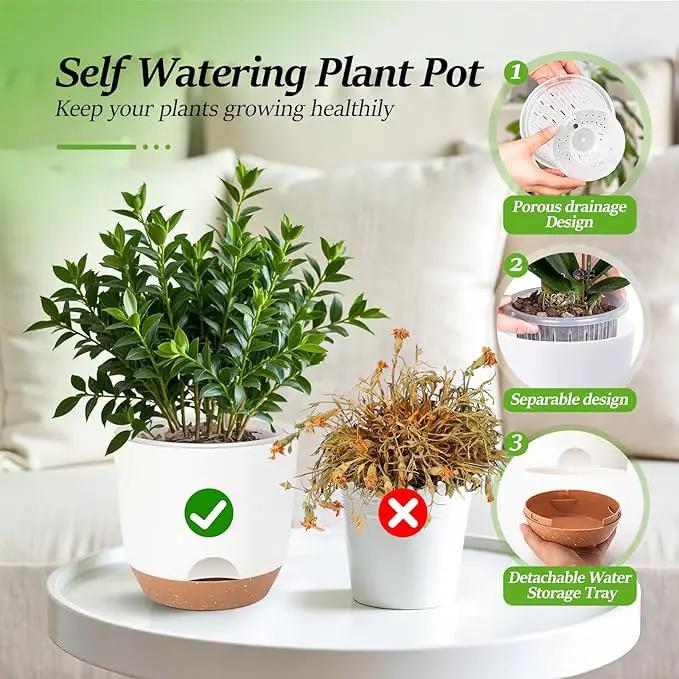 7.2 Inch Self Watering Orchid Pots for Indoor Plants,Macetas para Orqudeas,Flower Pots for Indoor Plants with Holes(White) by GreenHaven Gardens