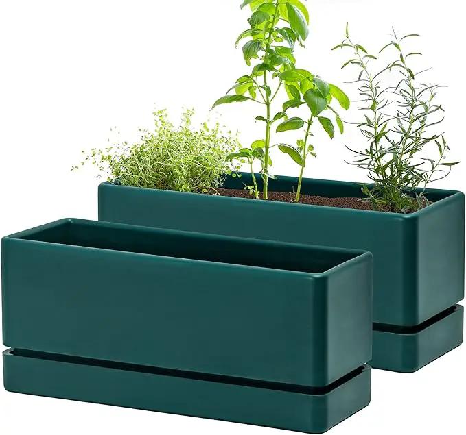 D'vine Dev 12 Inch Window Box Planter, Rectangle Plastic Herb Planter with Drainage Holes and Saucer, Indoor Succulent Cactus Vegetable Pot for Windowsill, Garden Balcony, Green, Set of 2, 76-X-C-2 by GreenHaven Gardens