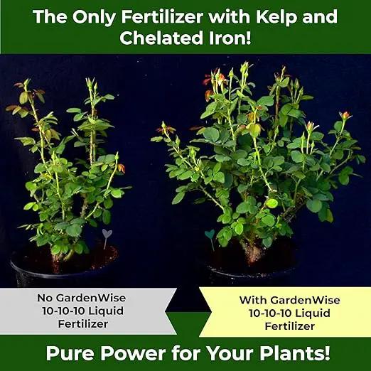10-10-10 Fertilizer for All Purpose Plants - Liquid Fertilizer with Seaweed Kelp&Iron - Plant Food Outdoor & Indoor Plant Food, Vegetables, Flowers, Lawn & Garden 10 10 10 Fertilizer 1x8oz by GreenHaven Gardens