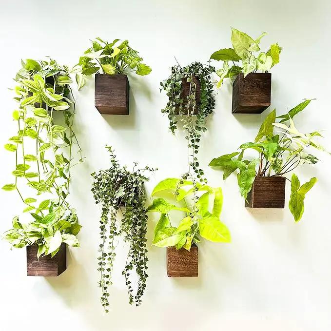 LaLaGreen Wood Planter Boxes for Plants (8 Pack, 4x4 Inch) Small Square Wall Mounted Planters for Indoor Plant, Herb Wooden Box Hanging Flower Pot Plant Holder Outdoor Fence Vertical Garden Home Decor by GreenHaven Gardens