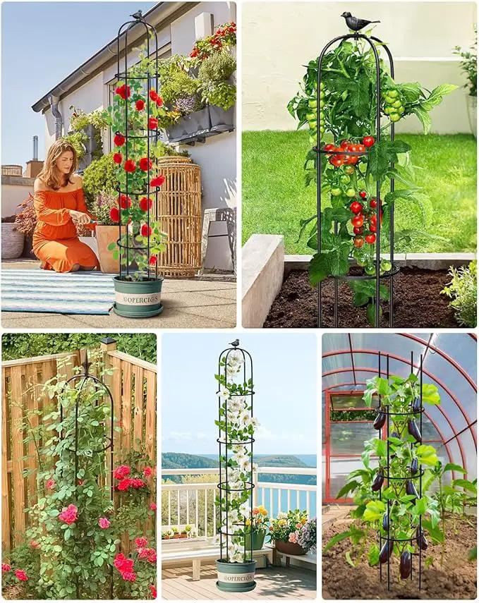 Garden Obelisk Trellis for Climbing Plants Outdoor 6.2 Ft Rose Bush Round Trellis for Pots Rustproof Metal Plant Flower Trellises for Clematis Vine Jasmine Support Outdoor Indoor (Black, 6.2ft) by GreenHaven Gardens