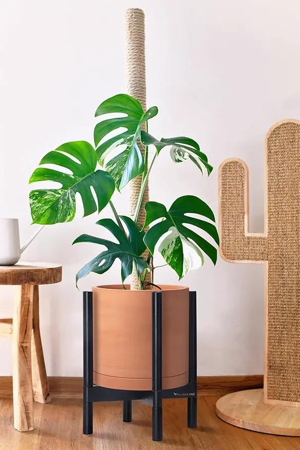 D'vine Dev Terracotta Planter with Ebony Stand - 12 Inch Modern Round Flower Pot with Wood Planter Holder, Terracotta, 55-B-H-5 by GreenHaven Gardens