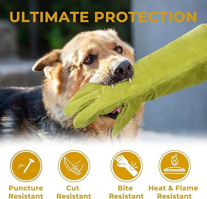 HANDLANDY Animal Handling Gloves, Bite Proof Cat Gloves, Ideal for Rose Pruning, Gardening, Falconry, Pet Grooming (Ginger yellow, 16 Inches) by GreenHaven Gardens