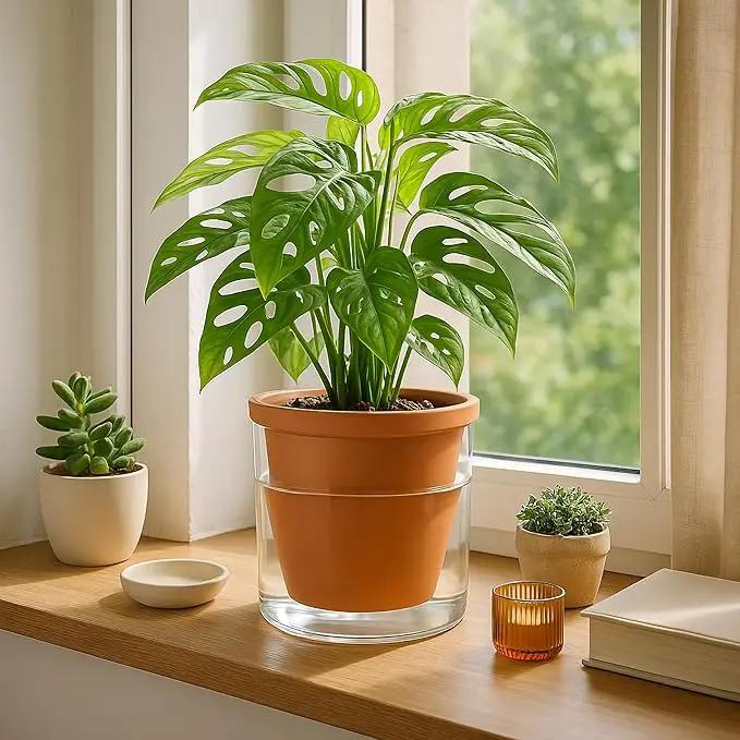 D'vine Dev 6 Inch Design Self Watering Pot for Indoor Plants, Terracotta Planter with Cylinder Glass Cup, 37-X-B-1 by GreenHaven Gardens