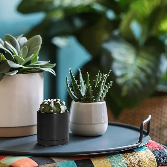 D'vine Dev Set of 2 Plants Pots, 3.5 Inch Ceramic Planter Pot for Plants with Drainage Hole and Saucer, Black, 94-V-A-2 by GreenHaven Gardens