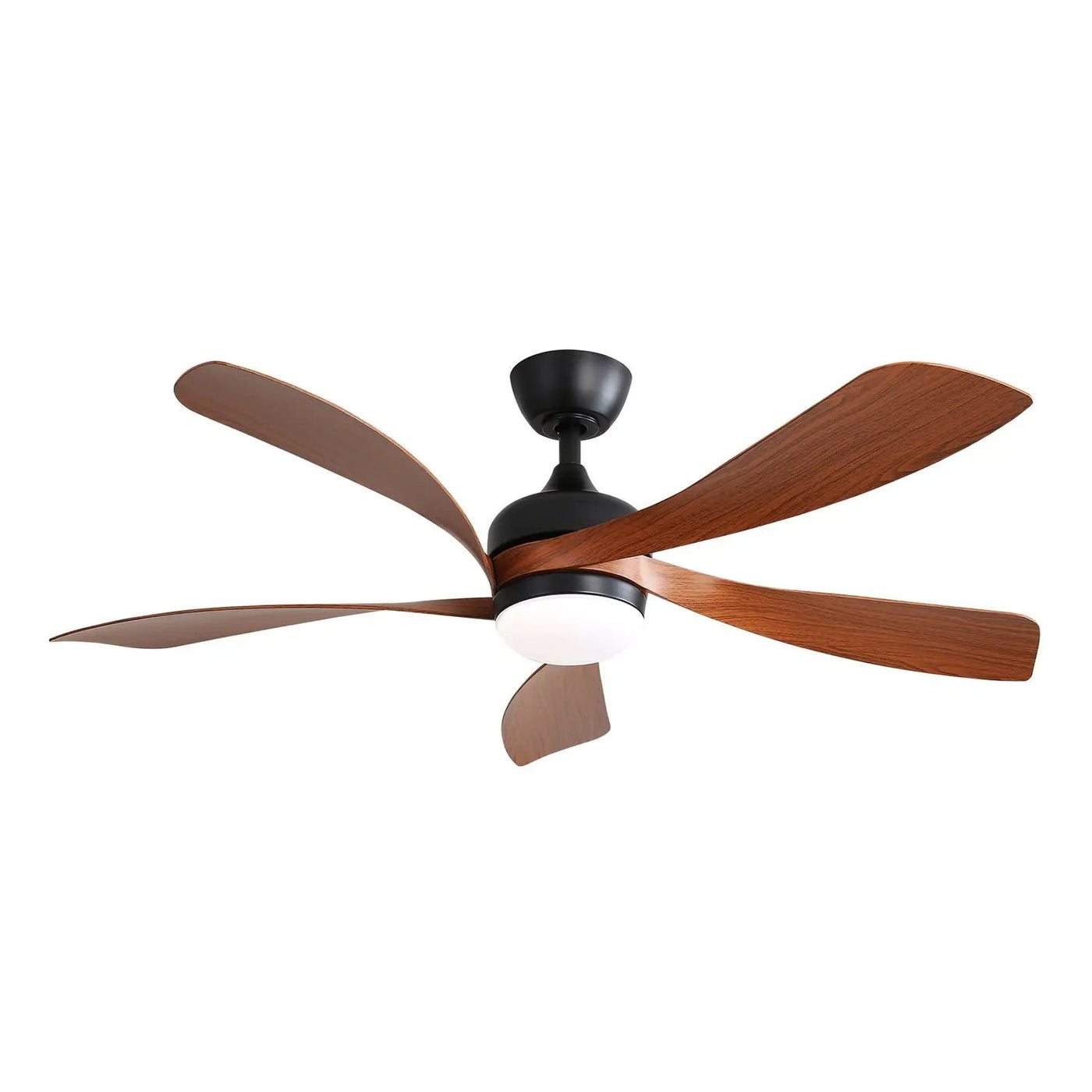 Ceiling Fan with DC Motor and Integrated Light by HouseOfZazla