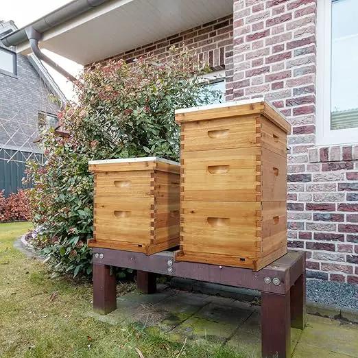 VINGLI 10 Frames Beehive, Complete Beehive Kit Includes 1 Deep Boxes, 1 Medium Box, Frames and Waxed Foundations, for Yard, Field, Bee Farm (2 Layer) by GreenHaven Gardens
