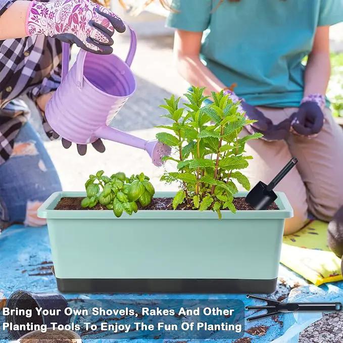 Window Box Planter 8 Pcs, 17 Inches Rectangle Flower Pots with Drainage Holes and Trays, Vegetable Planters for Windowsill Patio Garden Balcony Home Porch Yard Indoor Outdoor by GreenHaven Gardens