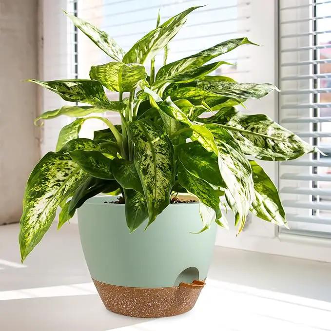 10/9/8 inch Self Watering Pots, Planter, Plant Pots with Mesh Drainage Holes for Indoor Outdoor Garden Plants, Plastic Flower Pots with Deep Reservoir for House Plants, Green with Brown by GreenHaven Gardens