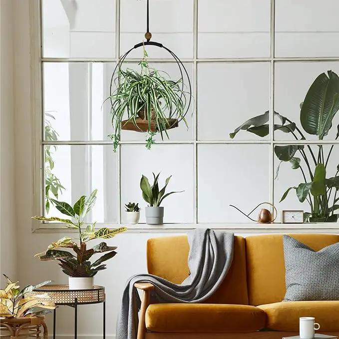 Hanging Planters for Indoor Plants - Plant Hanger Outdoor Pack of 2, Metal Plant Hanger Mid Century, Hanging Wall Ceiling Window, Gift for Mom, Plant Lovers, Housewarming by GreenHaven Gardens