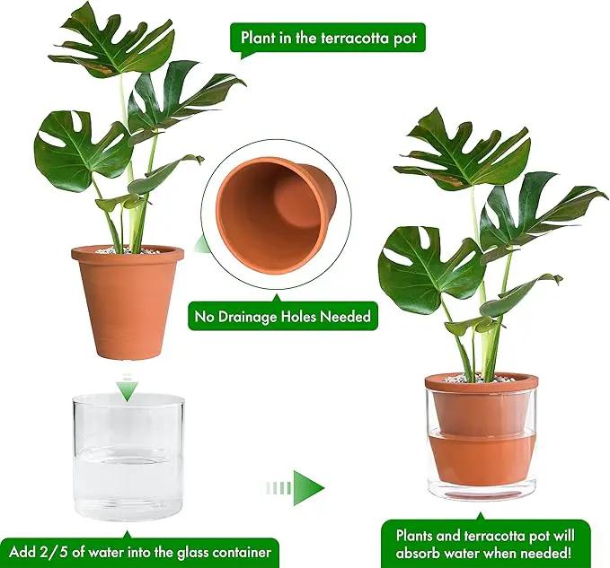 D'vine Dev 6 Inch Design Self Watering Pot for Indoor Plants, Terracotta Planter with Cylinder Glass Cup, Set of 2, 37-X-B-2 by GreenHaven Gardens
