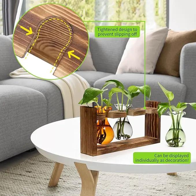 Plant Propagation Station Plant Terrarium Unique Birthday Gifts for Women Plant Lovers Home Office Decor Planter with Wooden Stand - 3 Bulb Glass Vase by GreenHaven Gardens
