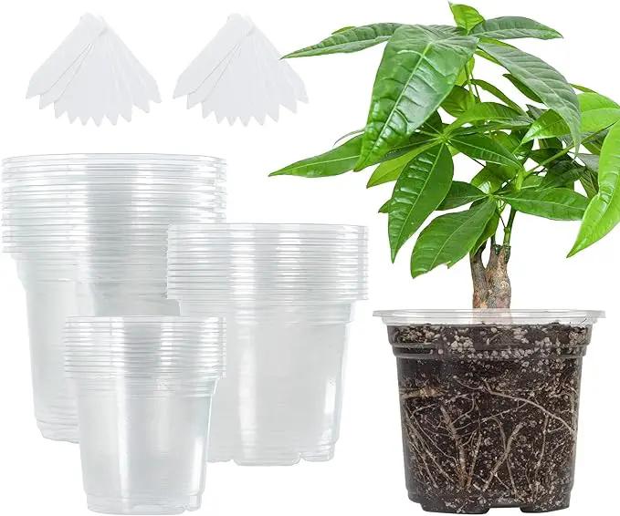 Bonviee 36 Packs 3.5/4/5 Inch Clear Nursery Pots, Transparent Plastic Planter with Drainage Holes, Seed Starting Pot Flower Plant Container -Clear by GreenHaven Gardens