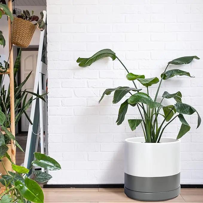 D'vine Dev 14 Inch Ceramic Planter Pot with Drainage Hole and Saucer, Indoor Cylinder Round Planter Pot, White/Speckled Grey, 94-O-G-6 by GreenHaven Gardens
