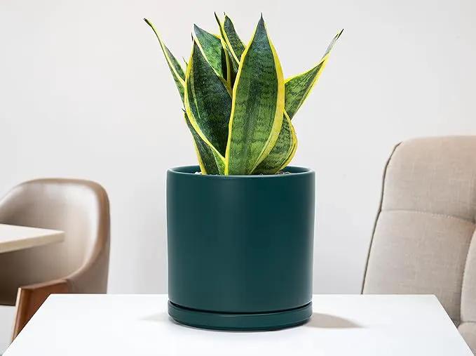 D'vine Dev Set of 2 Plants Pots, 8 Inch Ceramic Planter Pot for Plants with Drainage Hole and Saucer, Teal, 94-V-D-9 by GreenHaven Gardens