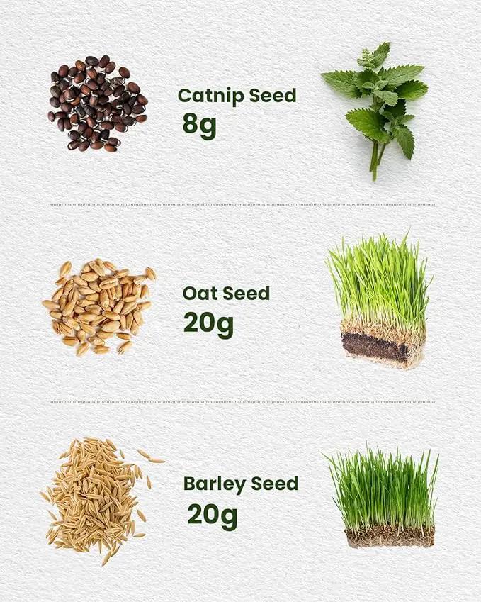 Organic Cat Grass & Catnip Seeds Kit – 3 Pack Oat & Barley Grass for Indoor Cats – Fast 7-Day Growth, High Germination, Hairball Control & Play – Pet-Safe Planting Set by GreenHaven Gardens
