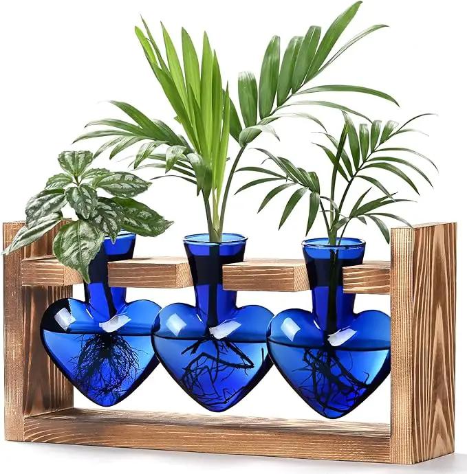 Lifecapido Heart Shaped Propagation Stations, Plant Terrarium with Wooden Stand, Plant Propagation Station for Hydroponics Plants Office Garden Home Decor, Gifts for Women Plant Lover (3 Vases, Blue) by GreenHaven Gardens