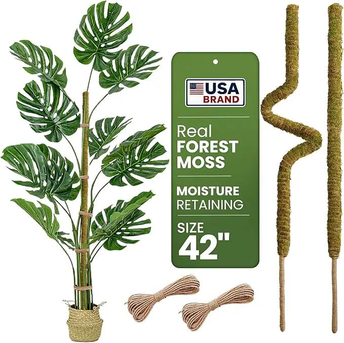 2 Pack 42'' Bendable Moss Pole Monstera Plant Support - Real Forest Moss for Climbing Indoor Plants - Stakes for Potted Climbers - Tall Sticks Indoor Trellis for Houseplants - Pot Accessories by GreenHaven Gardens