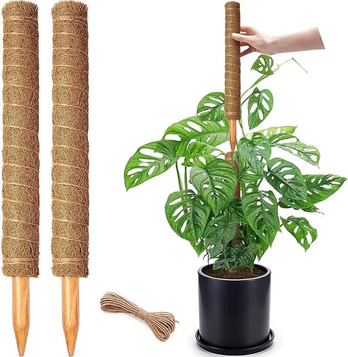 2 Pack 17 Inch Moss Pole, Stackable Moss Poles for Climbing Plants Monstera, Tall Plant Sticks Accessories, Large Coir Plant Support Stakes for Potted Plants Indoor, Pothos, Philodendron by GreenHaven Gardens