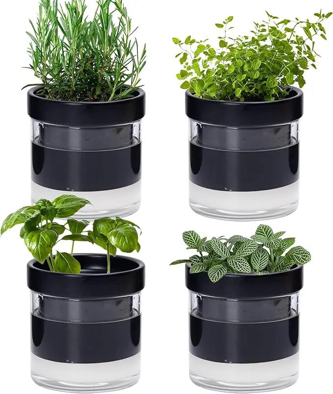 Phoenix Vine 4 Inch Self Watering Planter Pot, Black Terracotta Clay Pot with Glass Reservoir for Indoor Plants, Herbs, Flowers, Set of 4, 52-C-E-4 by GreenHaven Gardens
