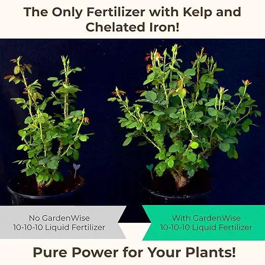 10-10-10 Fertilizer for All Purpose Plants - Liquid Fertilizer with Seaweed Kelp & Iron - Plant Food Outdoor & Indoor Plant Food, Vegetables,Flowers, Lawn & Garden 10 10 10 Fertilizer 16 oz by GreenHaven Gardens
