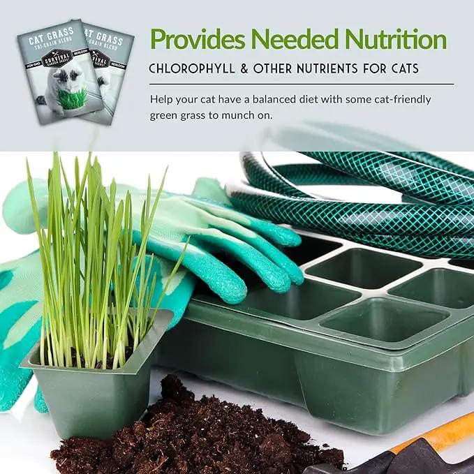 Cat Grass Seed for Planting - 5 Packets with Instructions to Plant & Grow Greens for Your Pet Indoors or Outdoors in a Container or Garden - Non-GMO Heirloom Variety - Survival Garden Seeds by GreenHaven Gardens