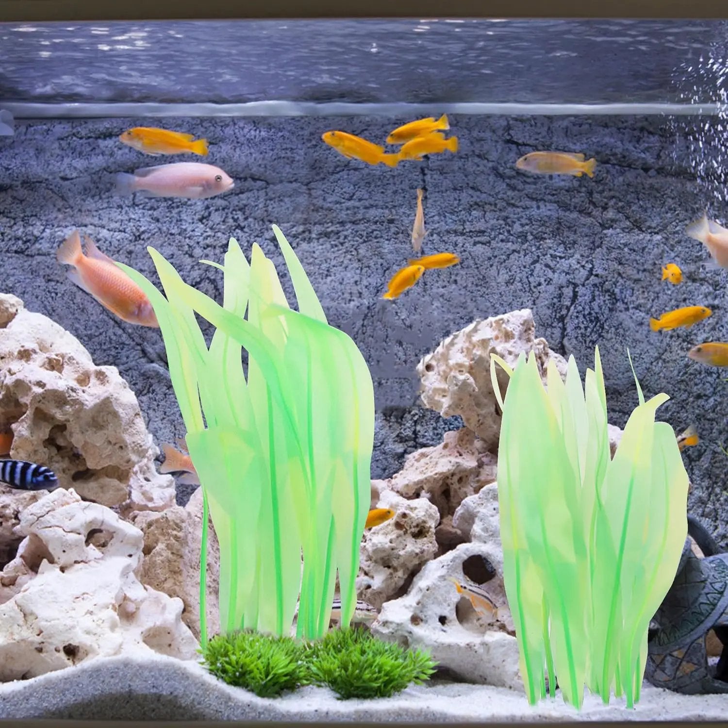 Kaiyuan Dynasty 2pc Artificial Fish Tank Plants Aquarium Decoration Plants Silicone Glowing Kelp Ornament Fish Tank Decor Aquarium Plant Aquatic Water Grass,7inch,Green by GreenHaven Gardens