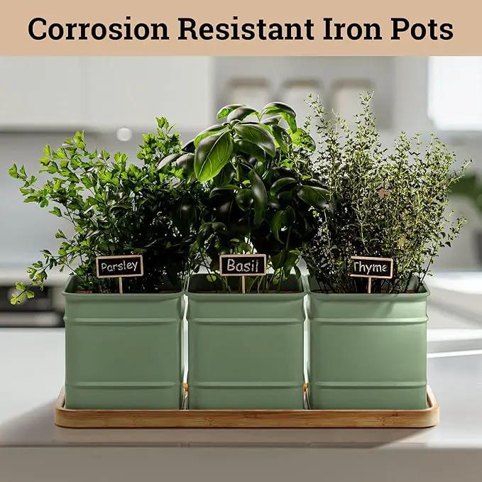 Herb Planter Indoor - 3 Iron Herb Pots with Drainage Holes, Varnished Bamboo Tray, Customizable Labels & Marker Pen - Indoor Herb Garden Planter - 3 Pots for Herbs - Inside Spice Garden - Basil Pot by GreenHaven Gardens