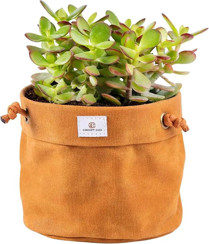 Waxed Canvas Handmade Hanging Planter for Indoor/Outdoor Plants, Hanging Basket Plant Holder Dijon Yellow by GreenHaven Gardens