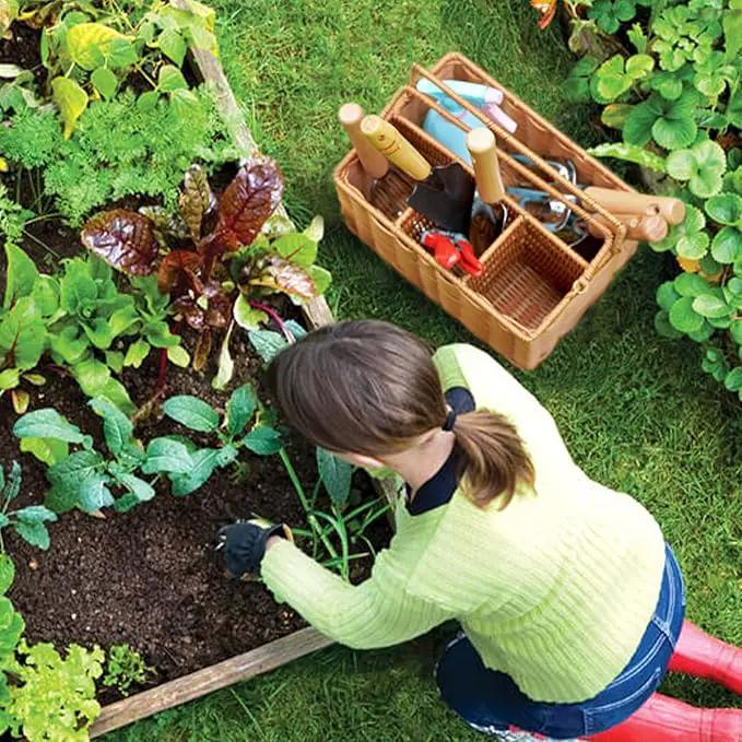 SOLIGT Garden Tools Set with Basket, Heavy Duty Stainless Steel Gardening Hand Tool with Wood Handle, Pruning Shears, Gloves - Perfect Gardening Gifts Planting Supplies for Women Men by GreenHaven Gardens