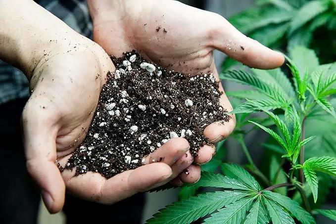 Premium Happy Plant Potting Soil Mix - Optimal Nutrient-Rich Blend for Thriving and HIGH-Yield Herbal Plants - 20 Quart by GreenHaven Gardens
