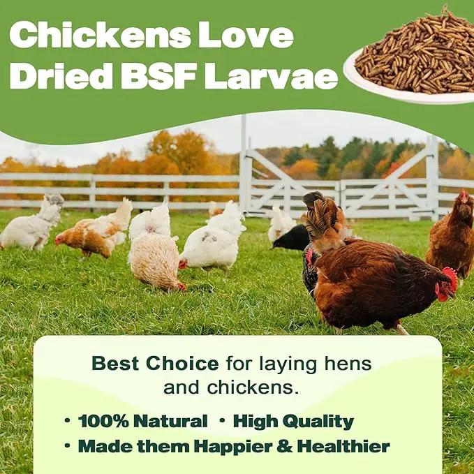 22LB Dried Black Soldier Fly Larvae, 2 Pack of 11 LBS, 86X Calcium Than Dried Mealworms, High Protein Non-GMO Organic Chicken Feed by GreenHaven Gardens
