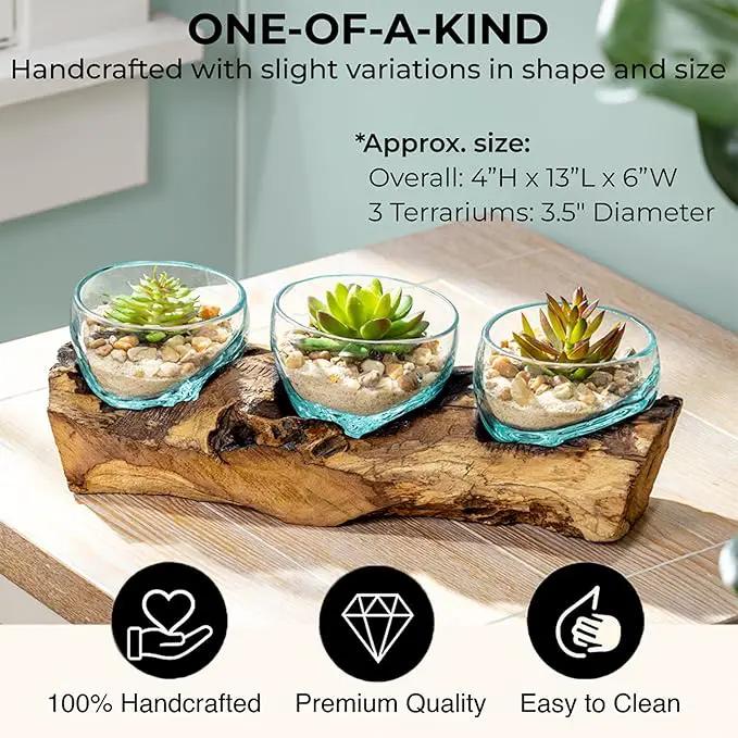 Cape Craftsmen Set of 3 Terrariums | Hand-Blown Blue Tinted Bubble Glasses On Natural Teak Driftwood Terrarium | Home Décor Indoor Planter with Stand | Glass Clear Pots for Succulent and Plants by GreenHaven Gardens