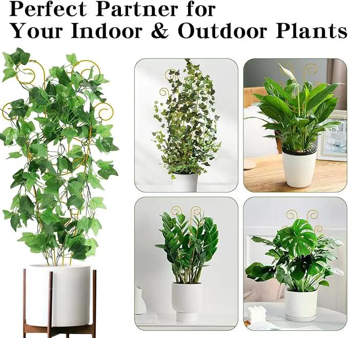 ZOUTOG Trellis for Climbing Plants Indoor 30 Inch, Houseplant Trellis for Potted Plants Metal 4Pcs for Vine Ivy Flower Support,Moon Shape,Golden by GreenHaven Gardens