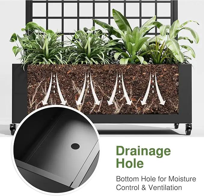 Casaphoria Metal Raised Garden Bed with Trellis and Wheels, 72"x35"x16" Arched Planter Box for Climbing Plants, Vegetables & Vines, Features Drainage Holes and Privacy Screen (Black-Grid) by GreenHaven Gardens