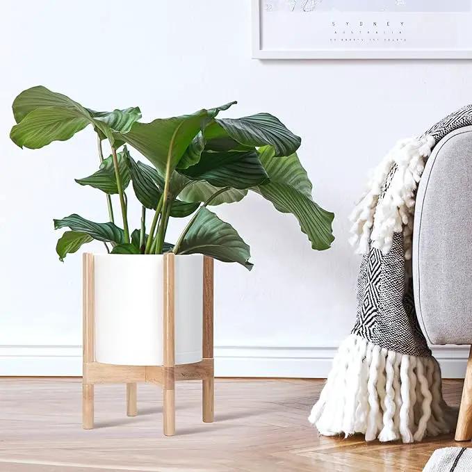 D'vine Dev Planter Pot with Stand - 10 Inch Plastic Cylinder Flower Pot with Wood Planter Holder for Indoor, Matte White Pot + Natural Stand, 55-C-M-1 by GreenHaven Gardens
