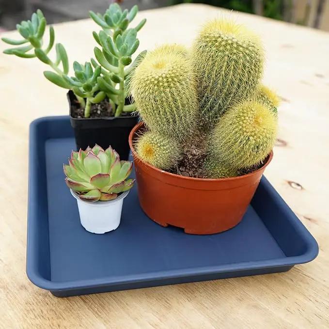4 Pack Plant Saucer Tray Rectangular, Plant Growing Nursery Trays, Heavy Sturdy Seed Starting Trays, Plant Starter Trays for Indoors No Holes, Seed Starter Growing Tray (17.5"x10.6", Blue) by GreenHaven Gardens