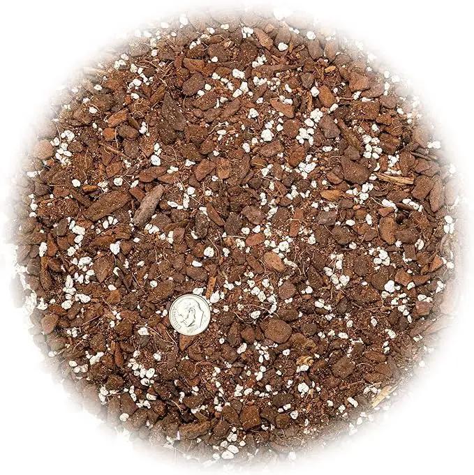 Premium Split Leaf Philodendron Potting Mix - Hand-Crafted with Optimal Nutrients for Healthy Growth - 1 Quart by GreenHaven Gardens