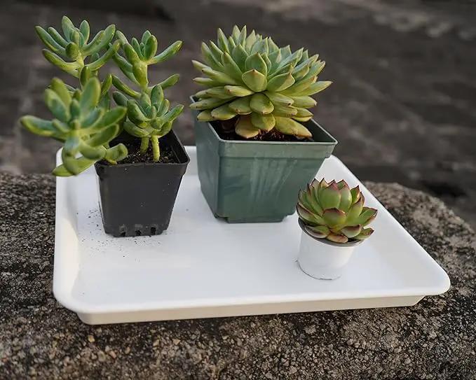 4 Pack Plant Saucer Tray Rectangular, Plant Saucers for Indoors, Heavy Sturdy Plastic Plant Drainage Trays, Plant Drip Trays for Pots, Seed Starter Growing Tray (11 x 9, Creamy White) by GreenHaven Gardens