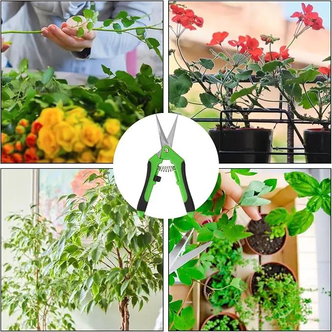 15 Pack 6.5 Inch Green Garden Pruning Scissors, Stainless Steel Blades Hand Pruner, Sharp Point Gardening Shears Cutter, A Must-have Gardening Pruning Shear, Supplies & Accessories by GreenHaven Gardens