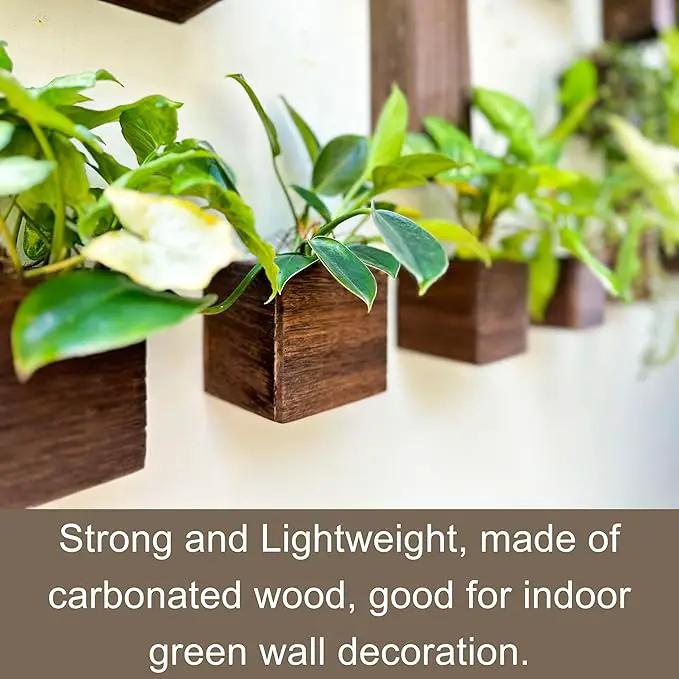LaLaGreen Wood Planter Boxes for Plants (8 Pack, 4x4 Inch) Small Square Wall Mounted Planters for Indoor Plant, Herb Wooden Box Hanging Flower Pot Plant Holder Outdoor Fence Vertical Garden Home Decor by GreenHaven Gardens