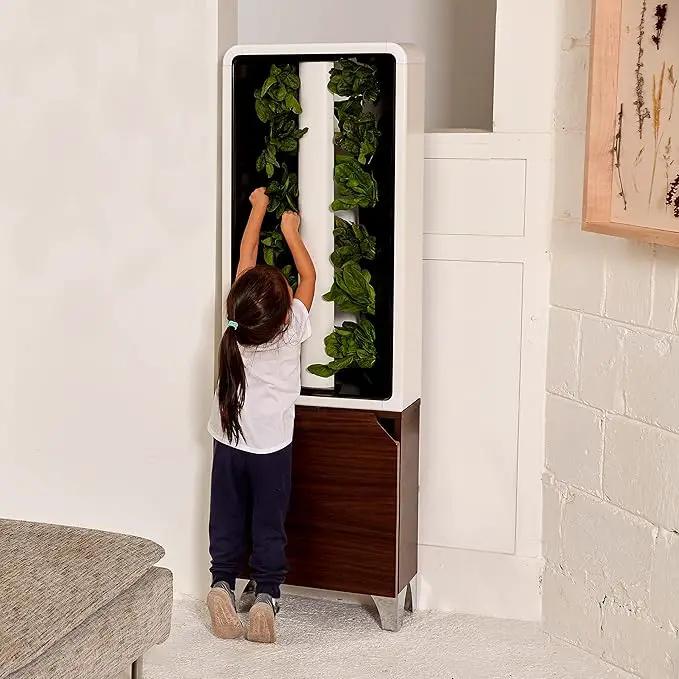 Just Vertical EVE Indoor Hydroponic Garden | Modern Furniture-Style Vertical Planter | Grow 12 Fresh Herbs & Vegetables Year-Round | Self-Watering, Energy-Efficient LED, Compact Design by GreenHaven Gardens