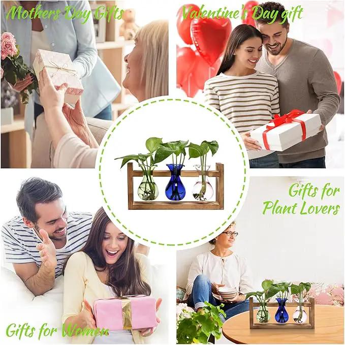 Plant Propagation Station Plant Terrarium Unique Birthday Gifts for Women Plant Lovers Home Office Decor Planter with Wooden Stand - 3 Bulb Glass Vase by GreenHaven Gardens
