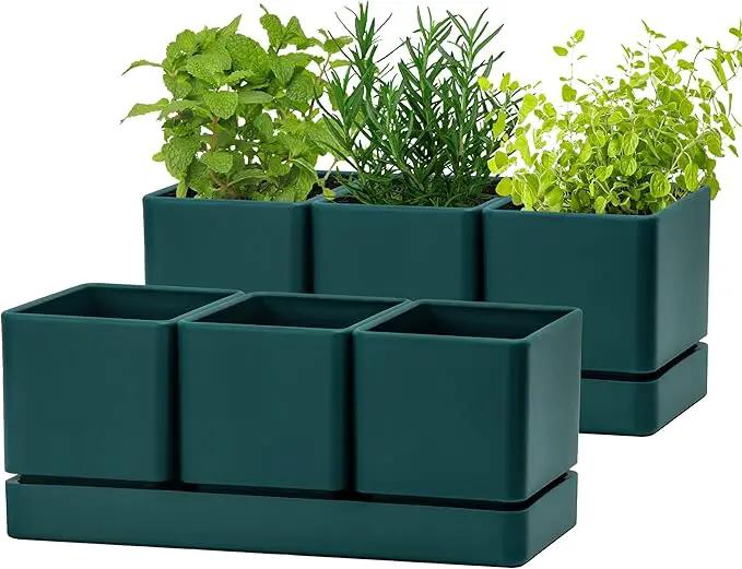 D'vine Dev Herb Garden Planter Set, Plastic Plant Pots with Drainage and Saucer, Indoor Succulent Cactus Vegetable Pot for Windowsill, Garden Balcony, Green, Set of 2, 76-V-C-2 by GreenHaven Gardens