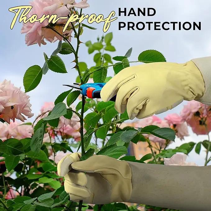 HANDLANDY Rose Pruning Gardening Gloves for Men Women, Thorn Proof Forearm Protection Leather Garden Gloves, Gardening Gifts for Gardeners (Beige- goatskin, Large (Pack of 1)) by GreenHaven Gardens